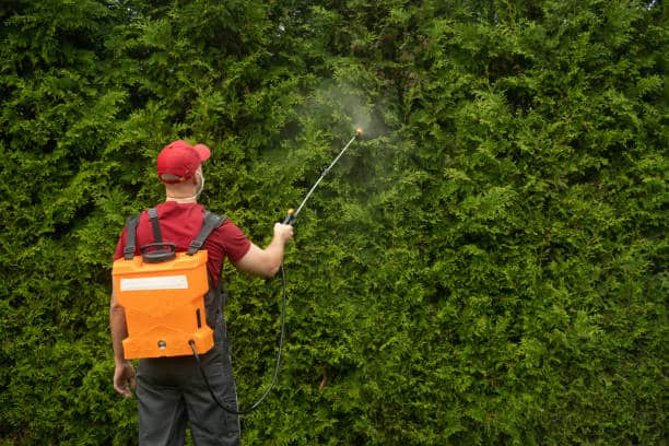 سمپاش دستی جهت پوشش دهی  زمین های کشاورزی